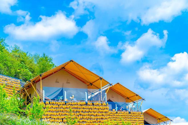 好來居助力九皇山業態升級